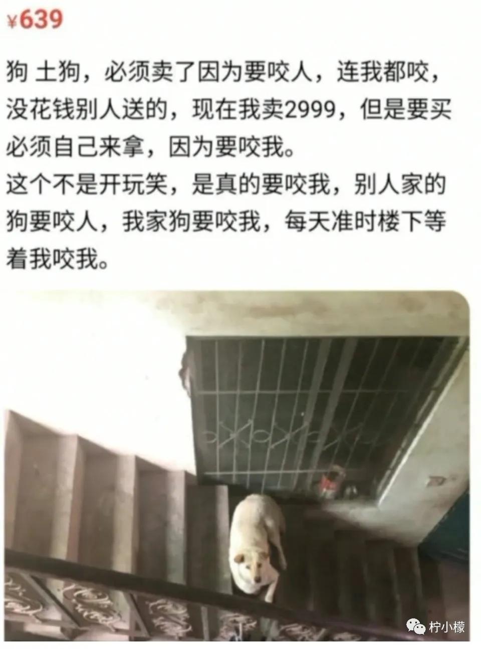 发朋友圈向男友表白的句子,朋友圈向男神表白的句子