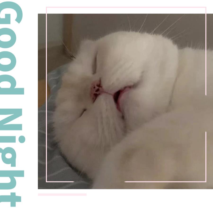 这10件好物实用到我舍不得分享,生活仪式感好物推荐