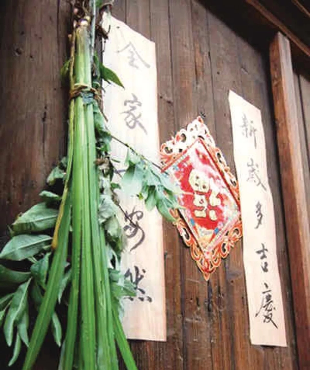 胡兰成今生今世完整版,胡兰成今生今世