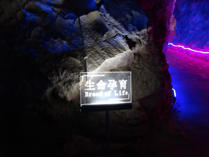 师宗凤凰谷走马观(中)