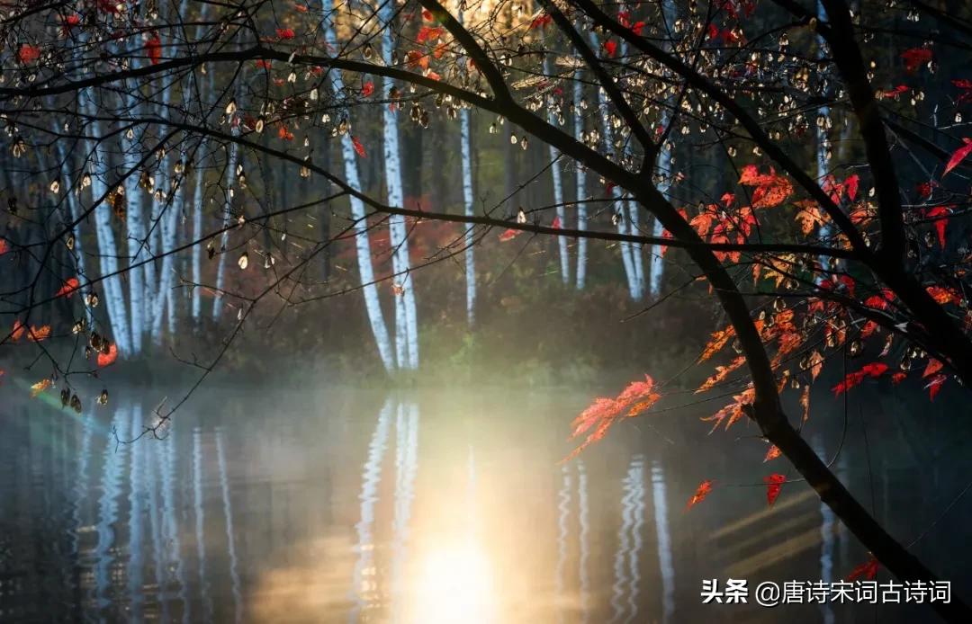 何处得秋霜拼音,何处得秋霜什么意思