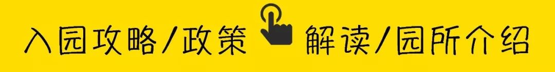 广州蒙特梭利幼儿园学费,深圳蒙特梭利幼儿园学费