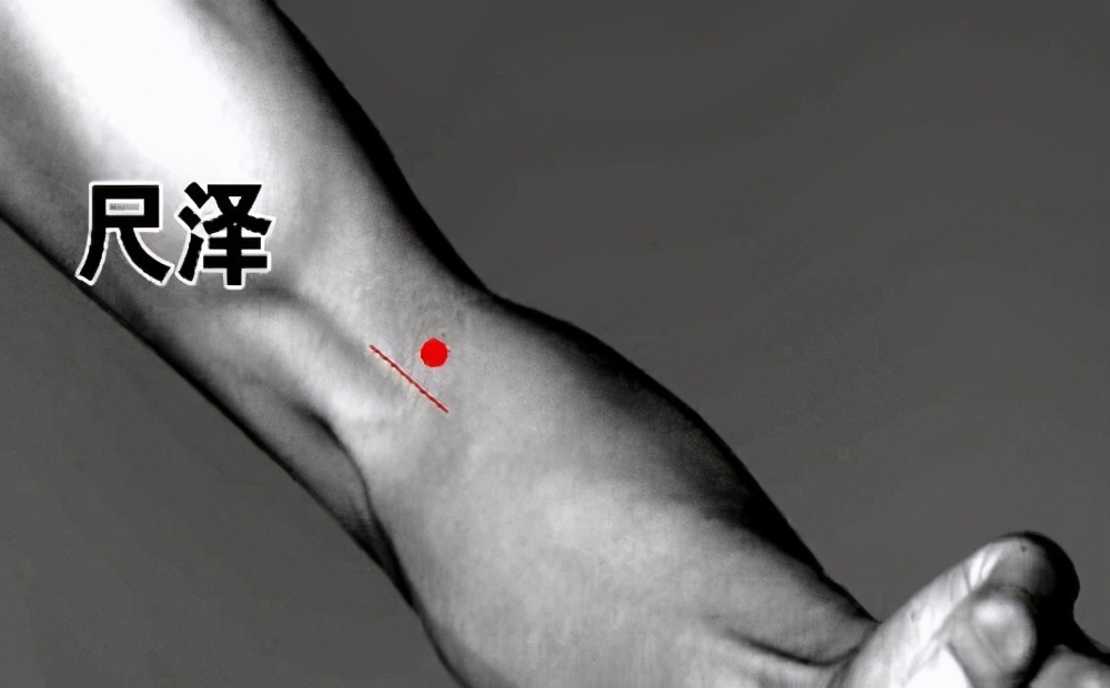 泻肺补肾有道理吗,泻肺火用什么中药