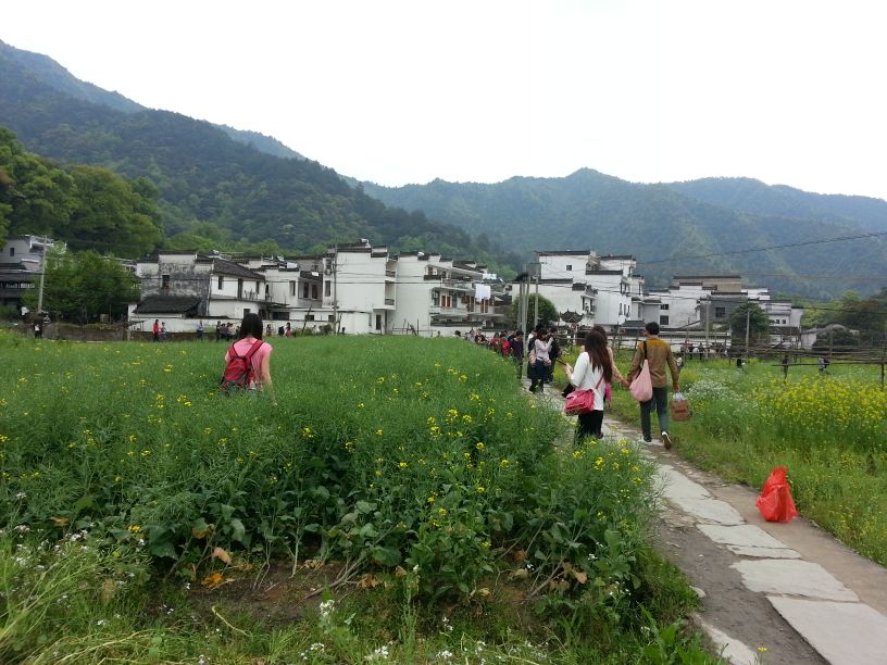 被誉为中国最美的古村落,徽州婺源风光