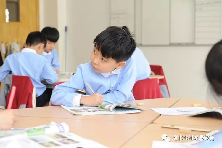 春风十里梦起航，听课评课促成长