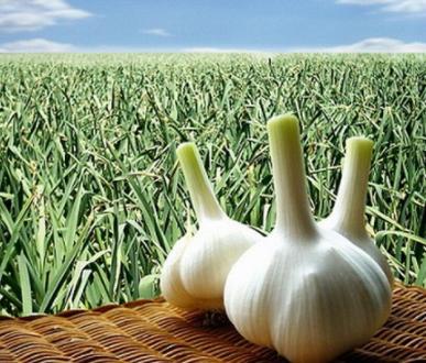 晚上游四方,游四方下联