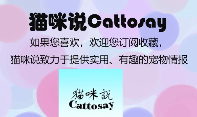 忠诚犬被救后的感人一幕,小柴犬为了救主人牺牲了自己