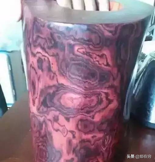 六种常用木材,常见的十种木材