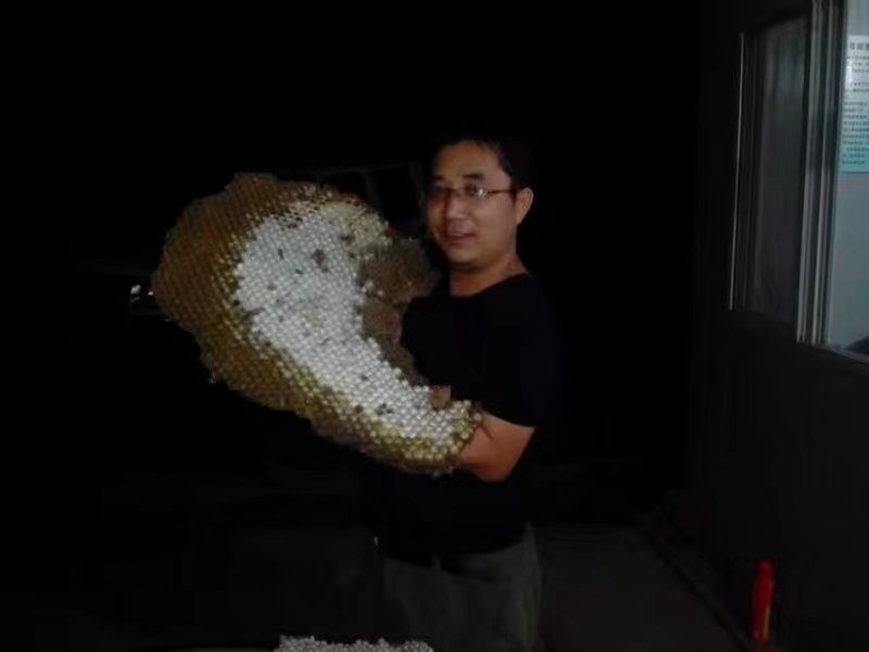 我们的童年时光,我们的童年舞蹈