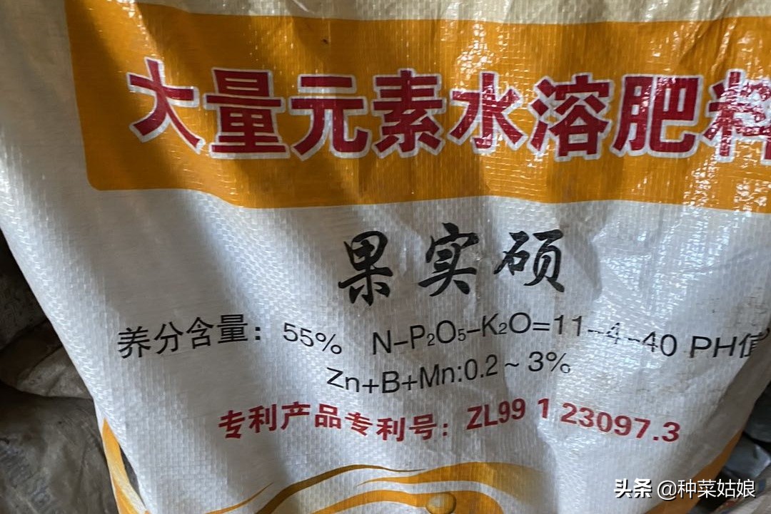 种菜怎么施肥效果最好,种菜长得慢该怎么办