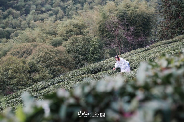 浙东运河唐诗之路,唐诗之路是三大路线之一