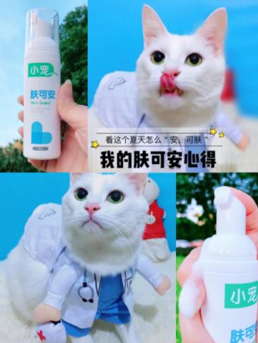 小宠肤可安怎么给猫咪洗澡,肤可安猫咪