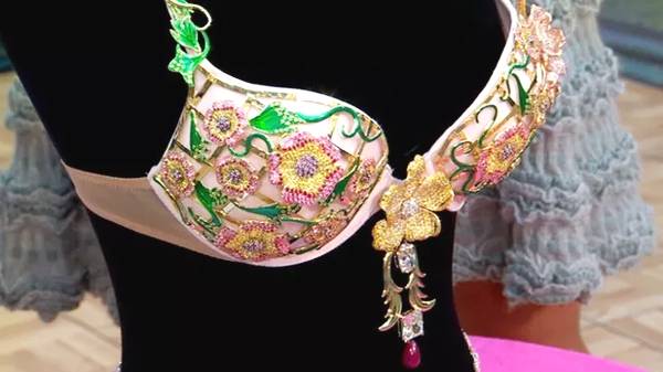 维密最贵的bra是谁穿的,维密最贵天价内衣是谁走秀的