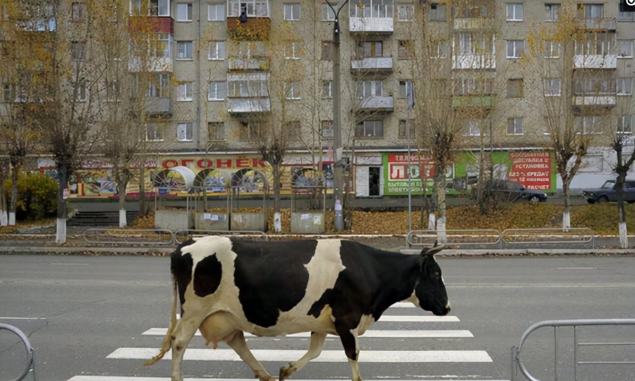 50张照片告诉你,“俄罗斯”有多么与众不同