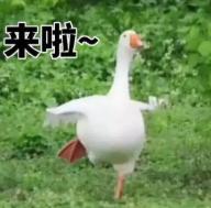 那些无限回购的空瓶,攒了一波空瓶回购系列