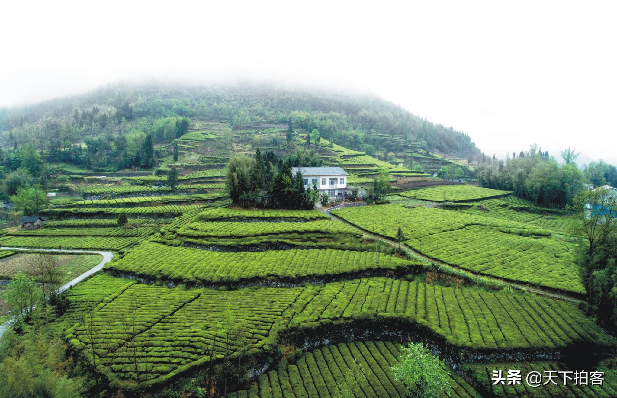 这个村里的将军岩可与挪威的“奇迹石”、英国的“偶像石”媲美