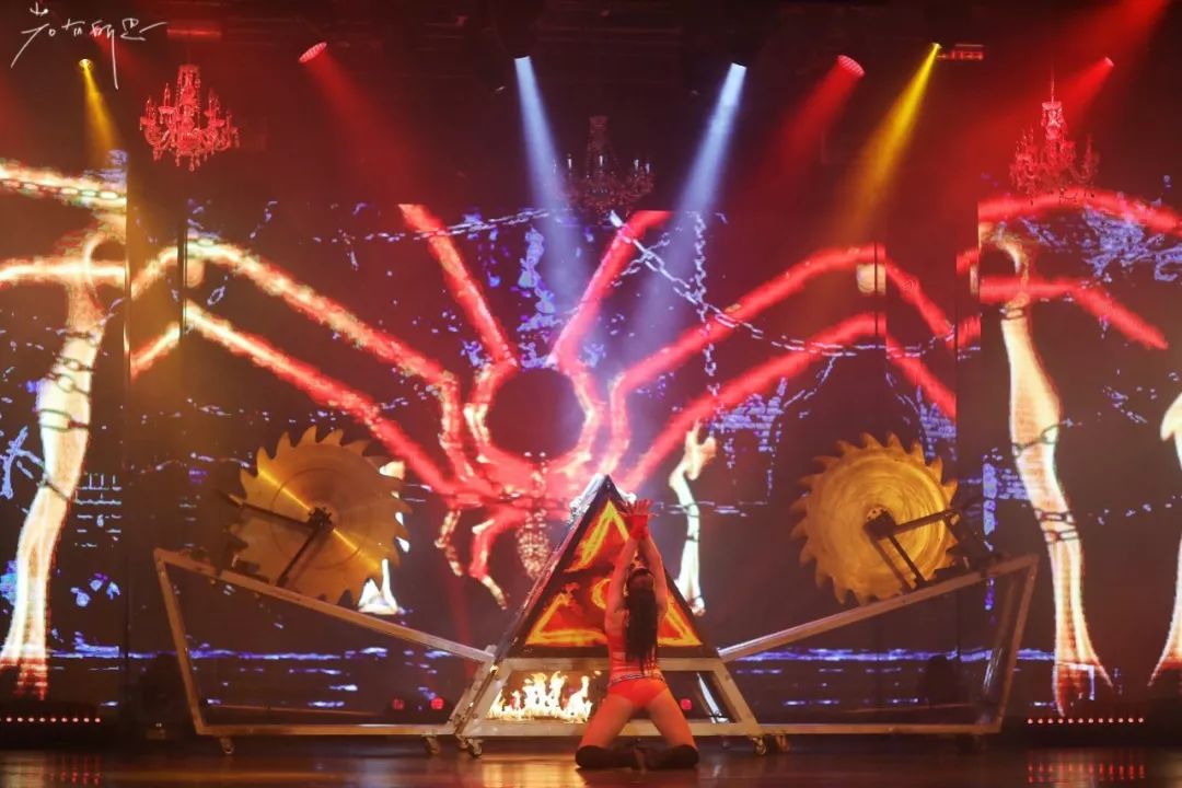 带父母豪华游轮环球旅行,带着父母们出游