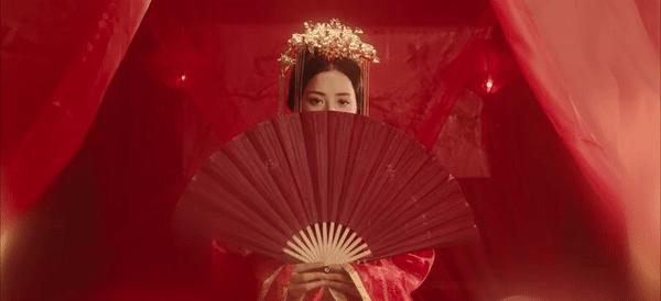 芝芙越南mv,芝芙越南口碑