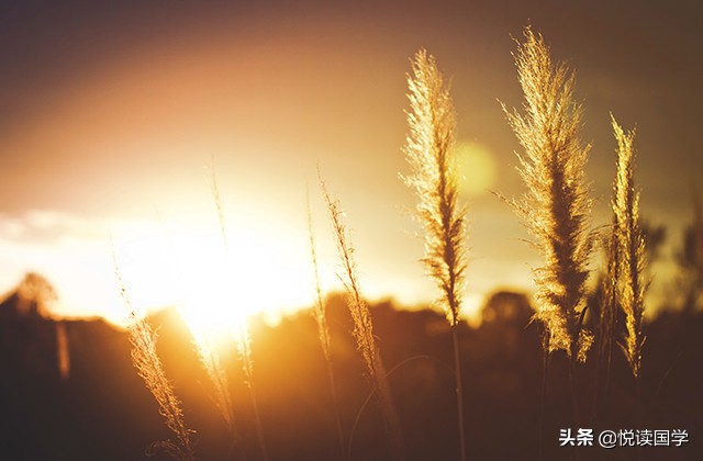一生行好运的七大原则,一个人持之以恒地做一件事