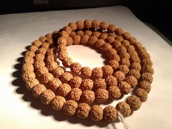 小金刚菩提鉴定视频,小金刚菩提的真假鉴别