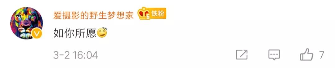 男子诈骗得手后挑衅：你让警察来抓我啊！警察：来了！