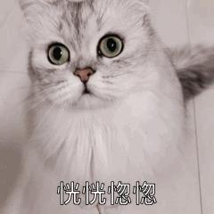 征信不好可以批贷吗,征信有问题哪个贷款平台好批款啊