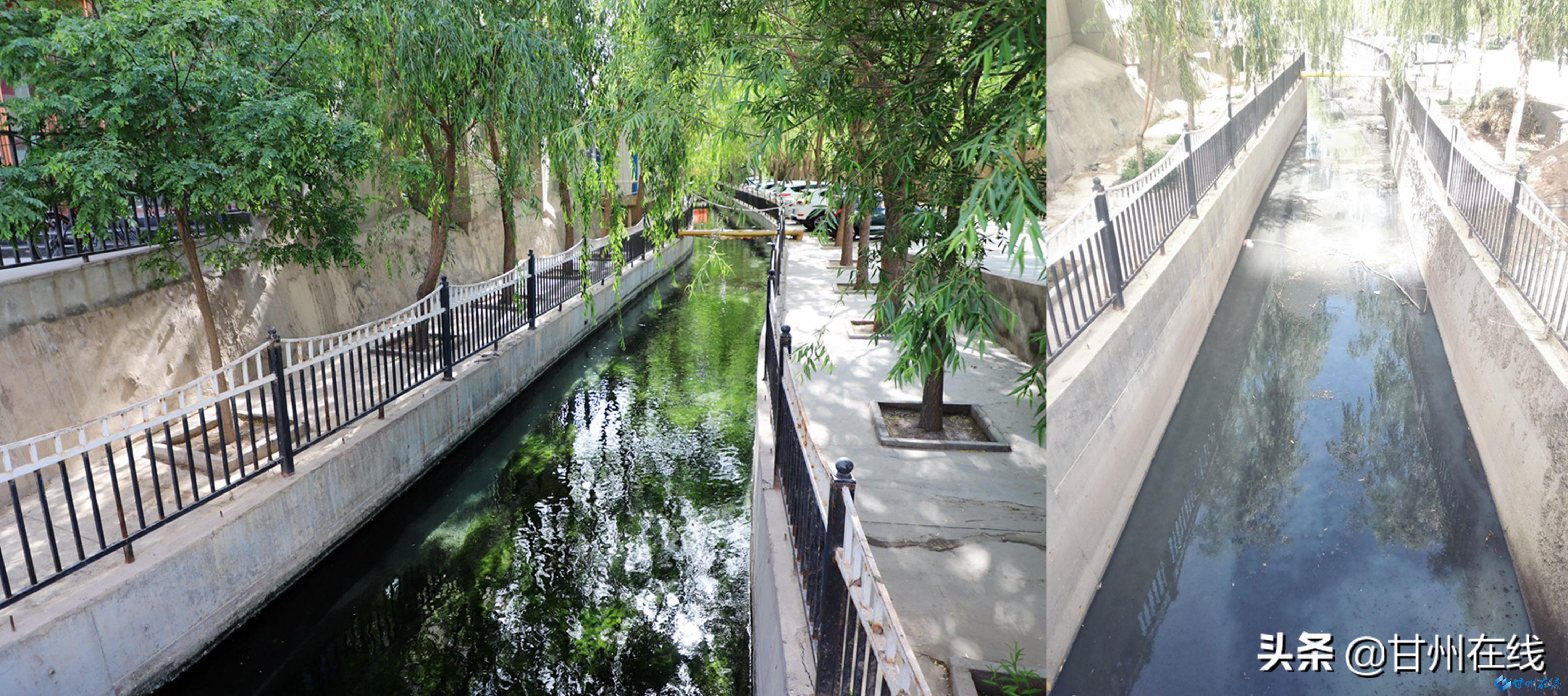 昔日“龙须沟”如今风景线——甘州区黑臭水体整治纪实