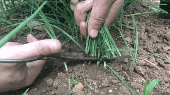 拼多多省钱月卡每日神券100元,拼多多省钱月卡29.9这么贵怎么办