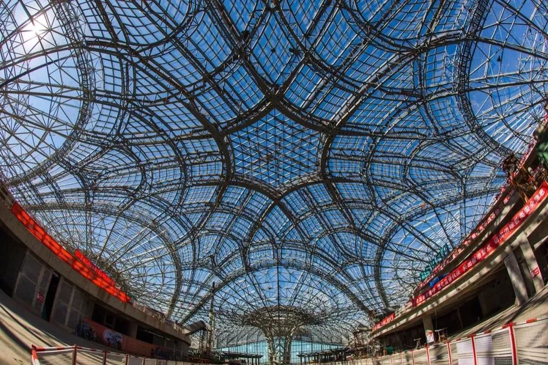 凤凰展翅，飞向未来