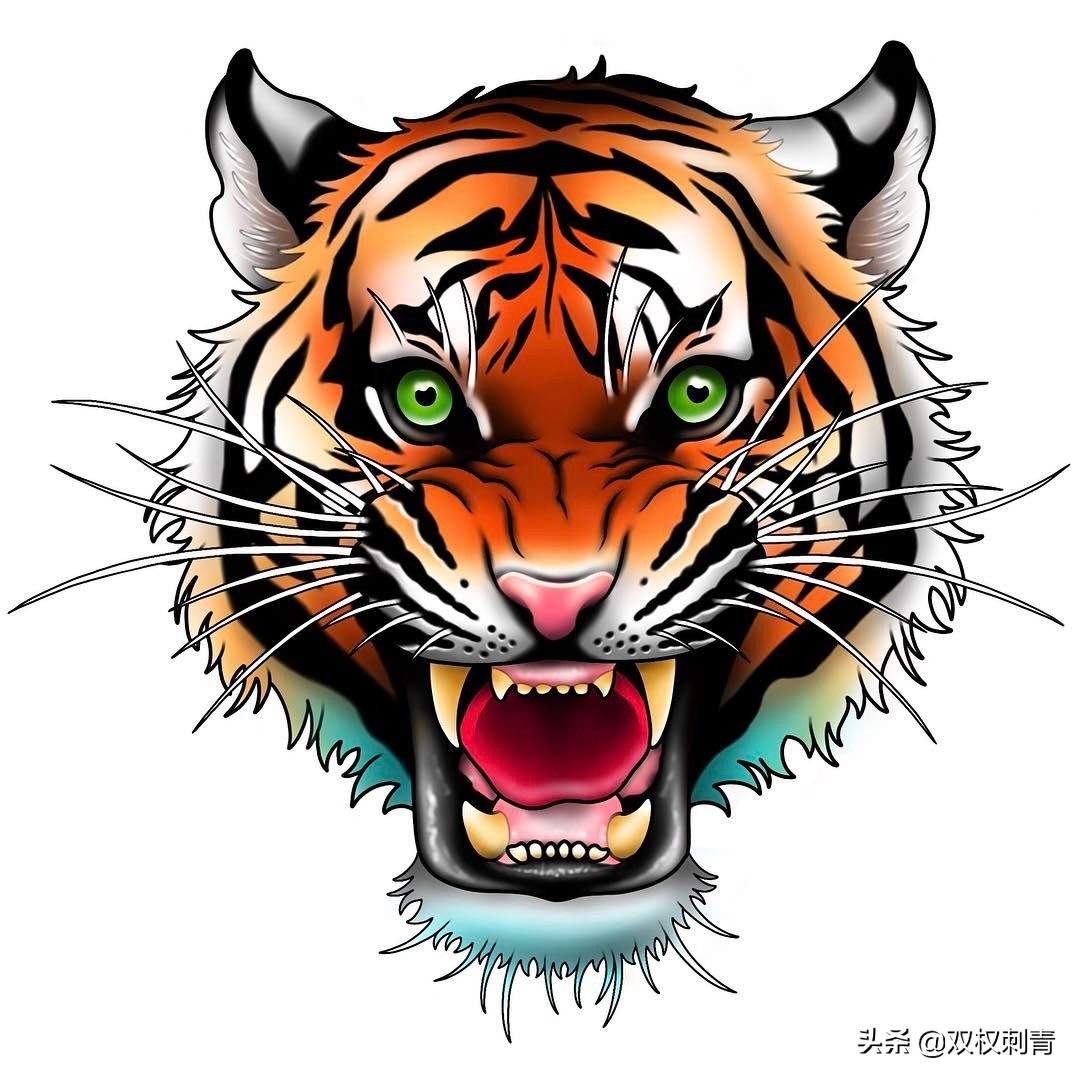 新传统老虎纹身手稿,满背老虎纹身手稿大全