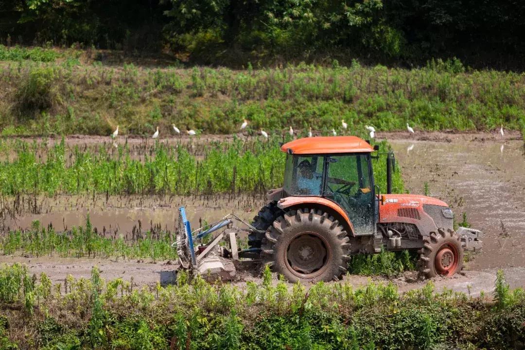 筑梦8年,承包1600亩土地,打造亲子版唐顿庄园,体验庄主生活