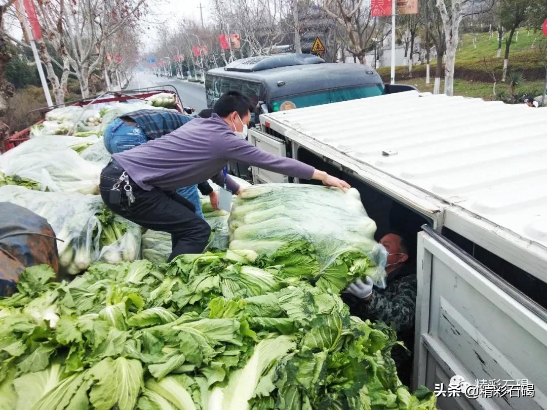 同比上升50%！润丰集团确保供港蔬菜供应，助力全国抗疫！