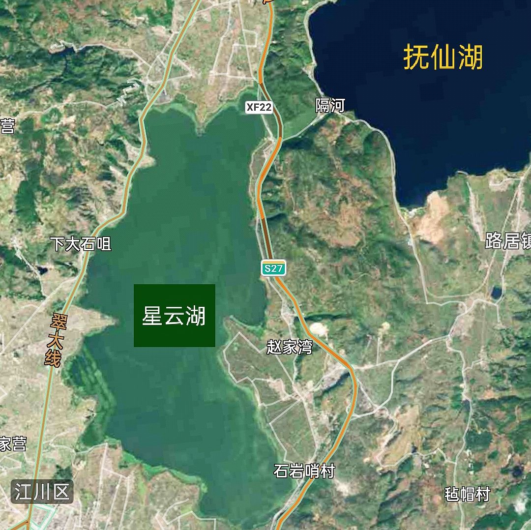 星云湖的危机：太湖银鱼“祸害”30年，如今又患“营养病”？