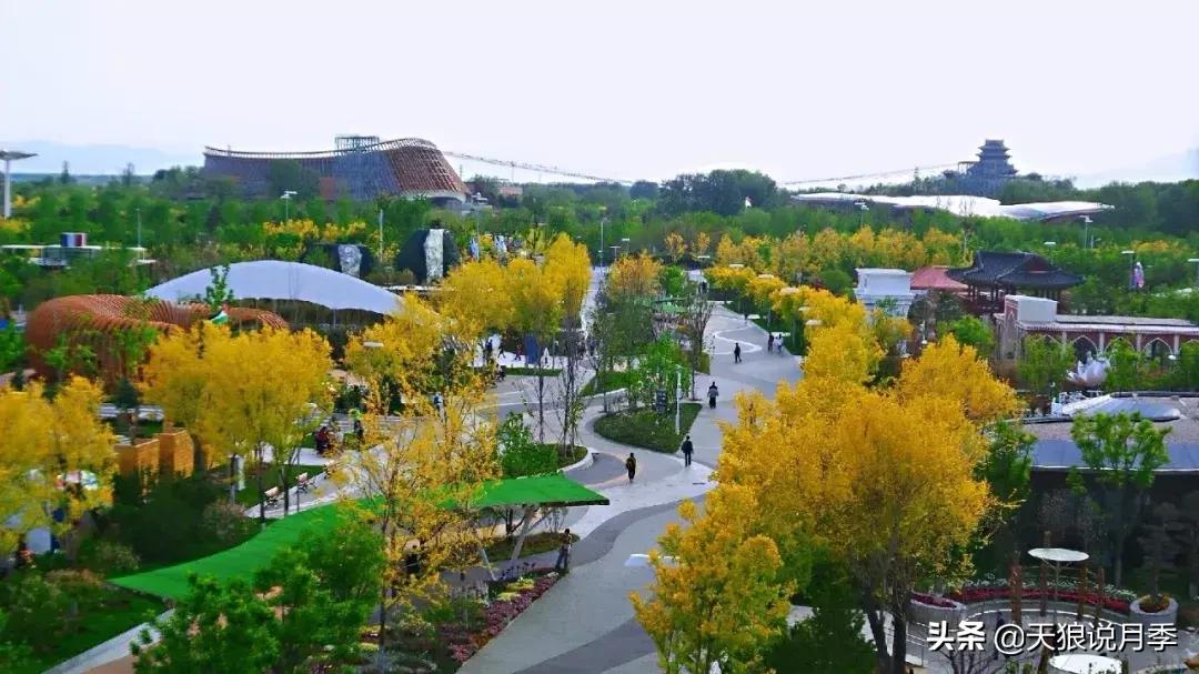 有人去过世园会吗,去过世园会好不好玩