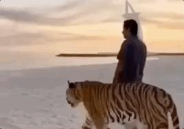 迪拜填海烂尾工程恢复了吗,迪拜旋转大厦建造图