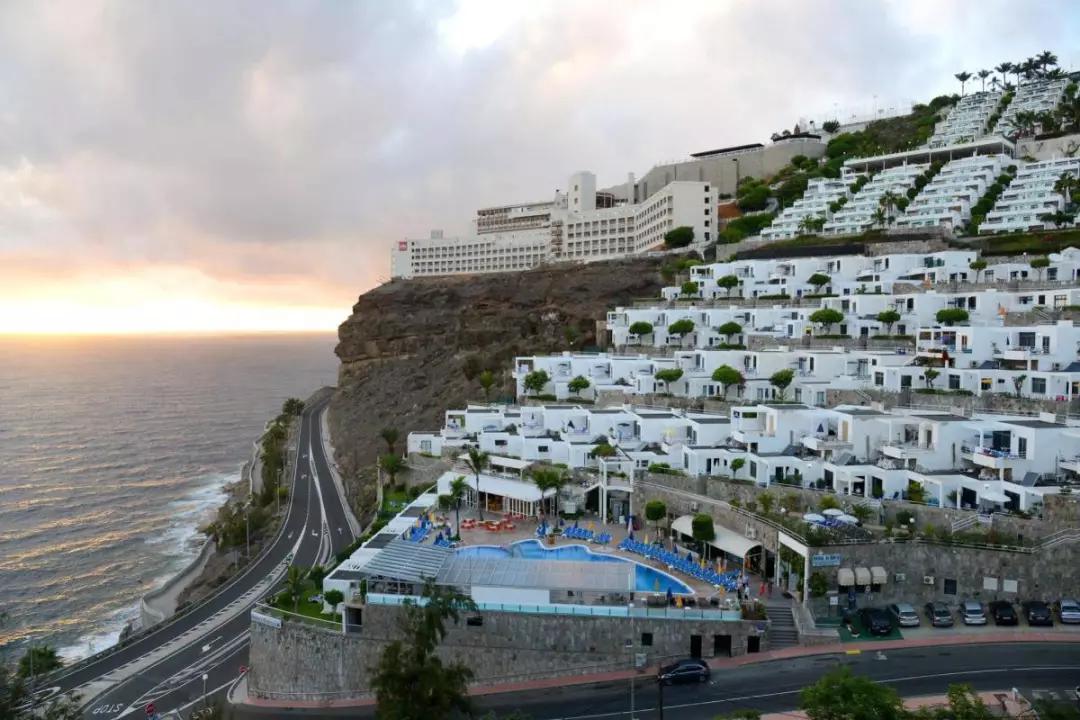 潘帕斯秃鹰马努吉诺比利,07年马努吉诺比利