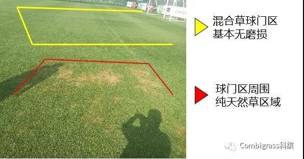 中国足协专业足球场,2022中国足协举办比赛场地