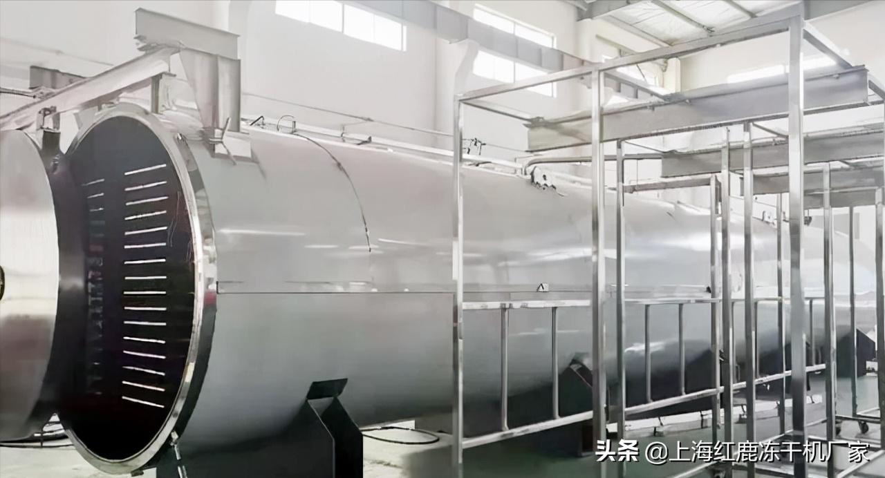 自制宠物冻干鸡肉怎么做的,鸡肉冻干的制作方法狗狗