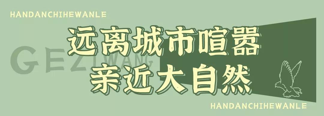 秋冬来袭!来碗养生汤!吃着鸽子喝着汤!请客有面子就到鸽子王