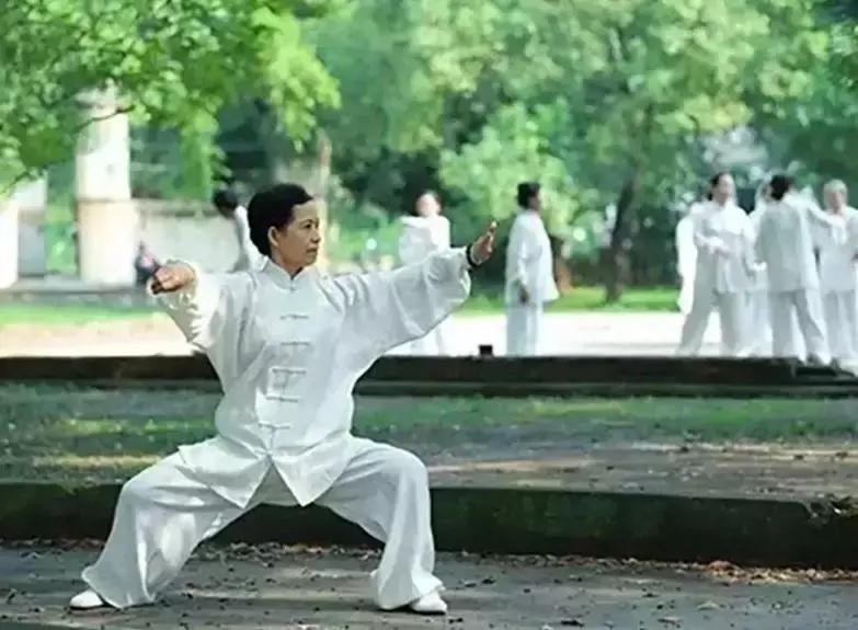 太极拳九连环,太极拳九诀