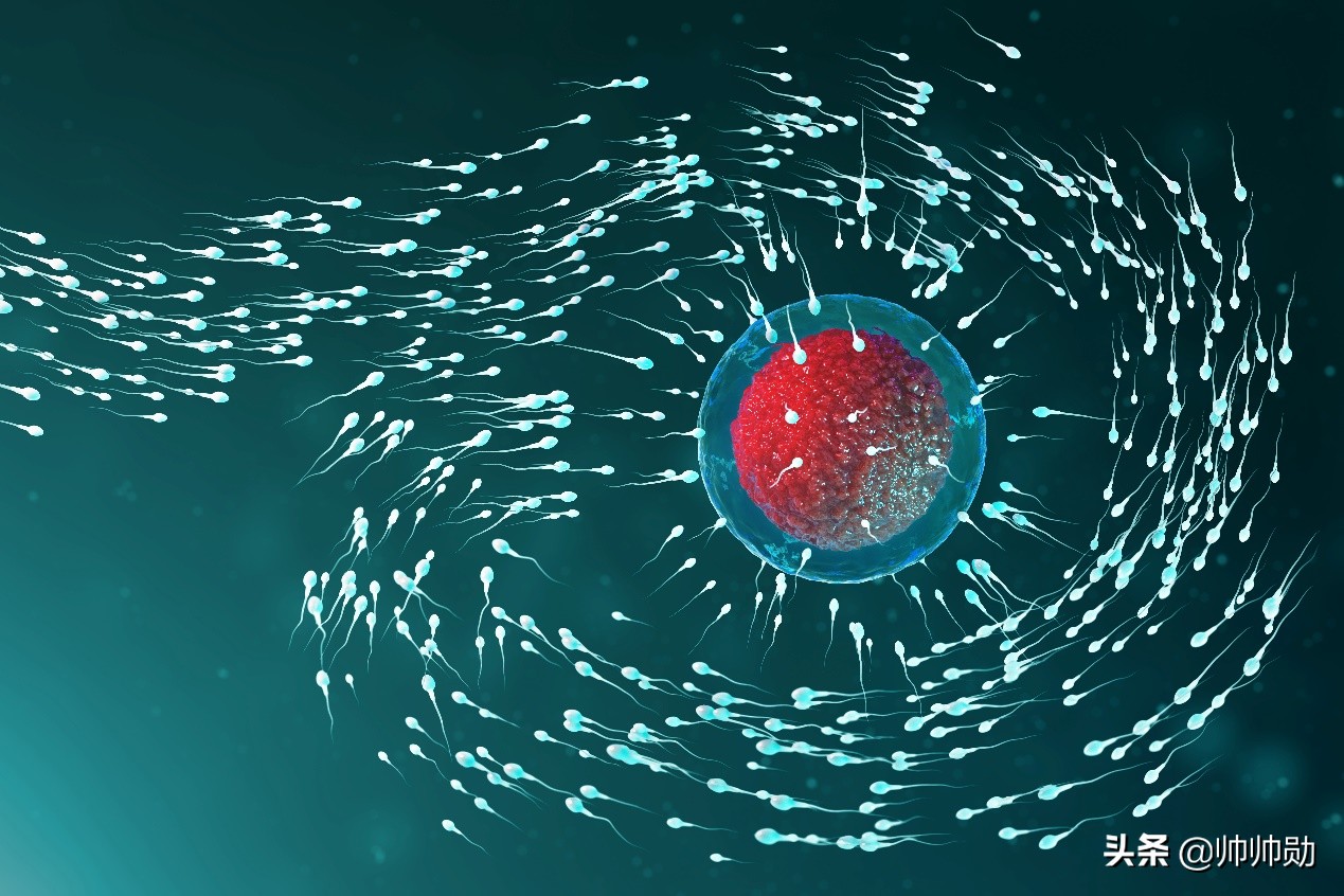 精子可以传播新冠病毒吗,精子会含有新冠病毒吗