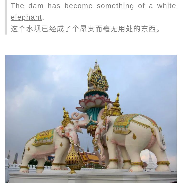 whiteelephant象征什么,whiteelephant代表什么含义
