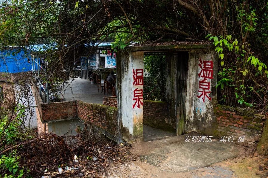 广东哪里有野温泉泡,藏在惠州的一个免费野温泉