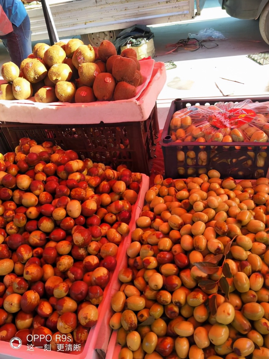 四川姑娘在新疆的生活日常,四川姑娘在南疆记录美好生活