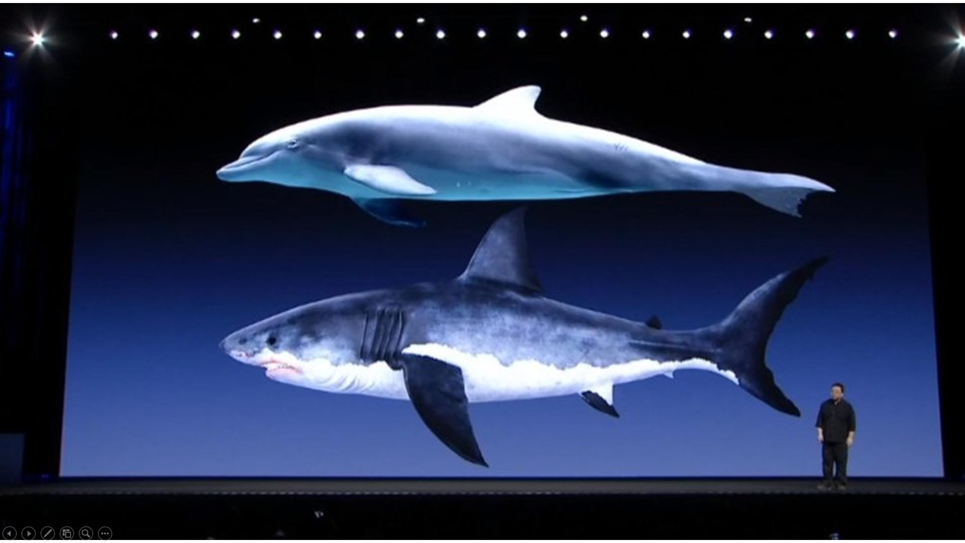 罗永浩谈演讲,老人与海演讲视频素材