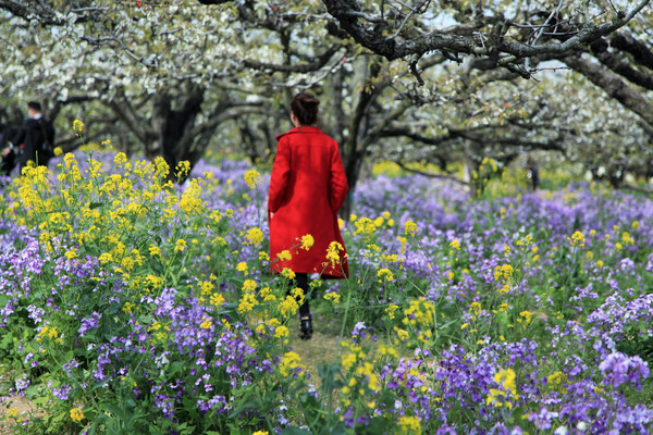 春游江淮请你来滁州版,春游江淮等您来