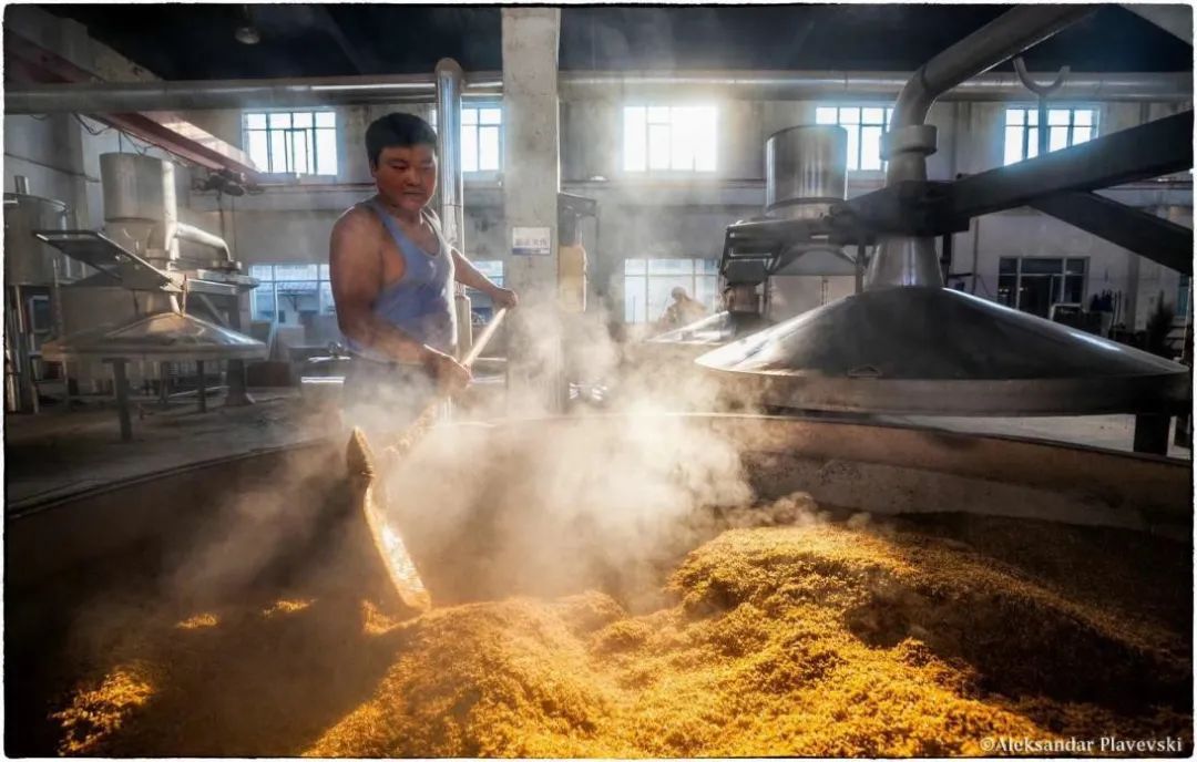 洋河大曲值得收藏的是哪款酒,洋河大曲最值得收藏的酒