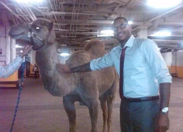 nba球星的奇葩爱好,nba球星的爱好