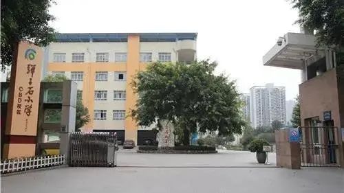 南岸区教育集团有哪些,南岸区小学汇总
