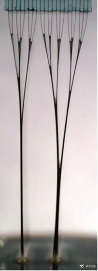 湿头发为什么看起来秃,头发一坨粘在一起怎么办